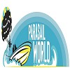 Parasail World Miami Beach